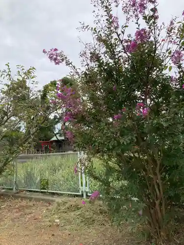 厳島神社の自然
