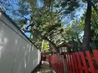 蛇松神社(新潟県)