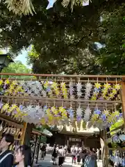 川越氷川神社(埼玉県)