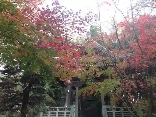 宝珠山　観泉寺のその他建物
