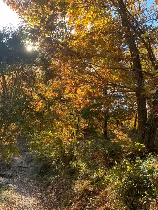 成身院 百体観音堂(さざえ堂)(埼玉県)