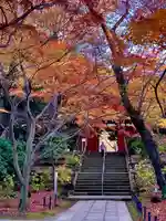 本土寺(千葉県)