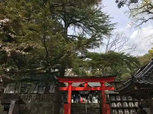 玉前神社の鳥居