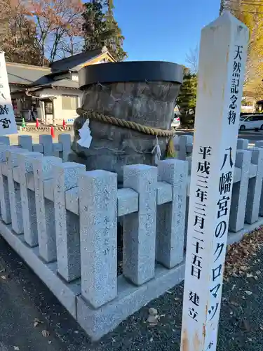 下野國一社八幡宮(栃木県)