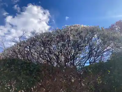 薬師院(神奈川県)