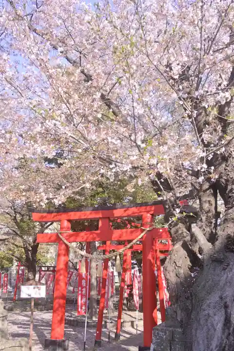 於菊稲荷神社の鳥居