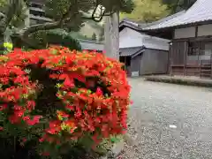 覚成寺(福井県)