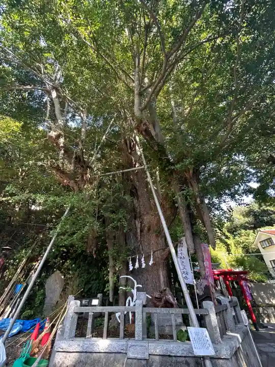 海南神社(神奈川県)