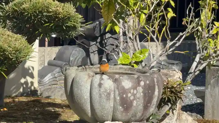 西方山極楽寺(岐阜県)