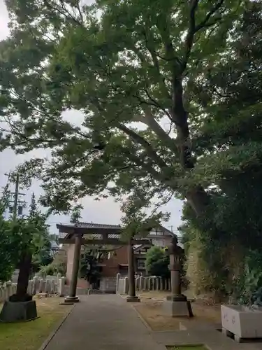 清水八幡神社の鳥居