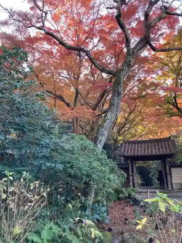 瑞泉寺の山門