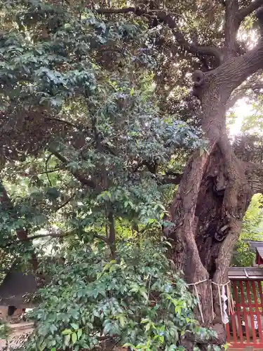 金王八幡宮(東京都)