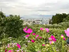 伺去神社の景色