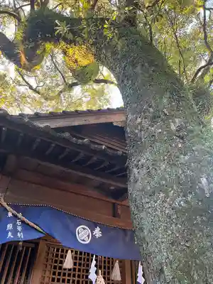 青井阿蘇神社(熊本県)