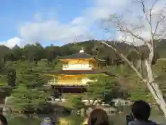 鹿苑寺（金閣寺）(京都府)