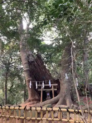 住吉神社(山口県)