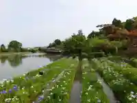 長岡天満宮の庭園