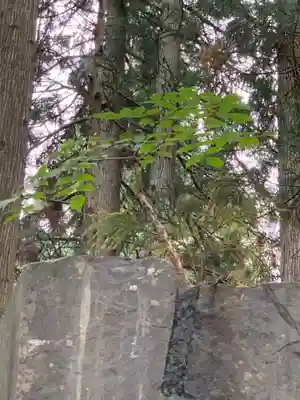 八坂神社(岩手県)