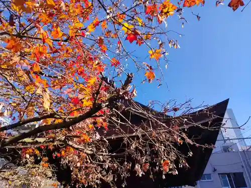 三輪神社のその他建物
