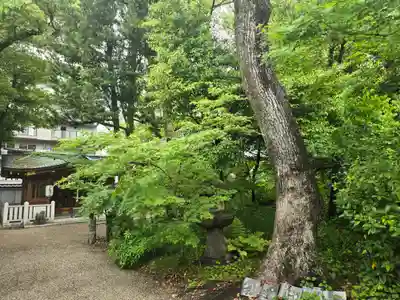 杭全神社(大阪府)