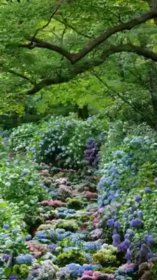 長谷寺(奈良県)