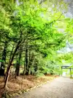 槵觸神社(宮崎県)