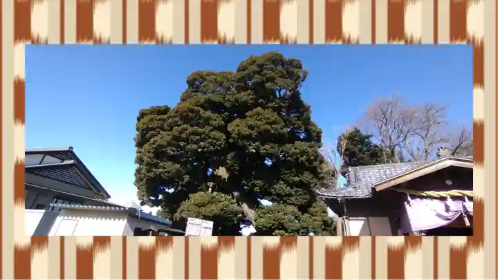 九重神社(埼玉県)