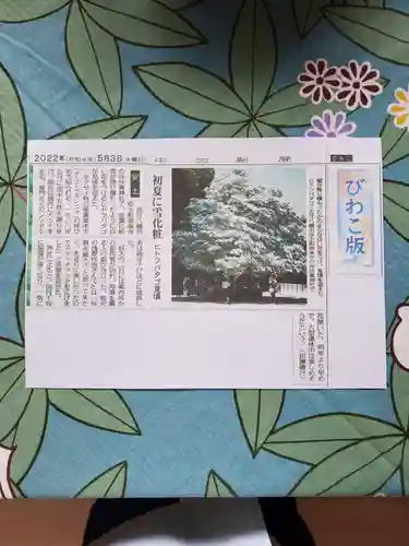 沙沙貴神社(滋賀県)