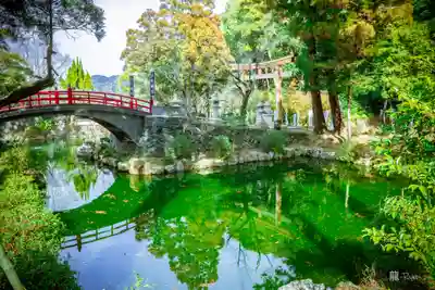 伊太祁曽神社(和歌山県)