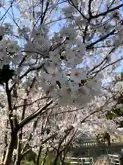 新野辺住吉神社の自然