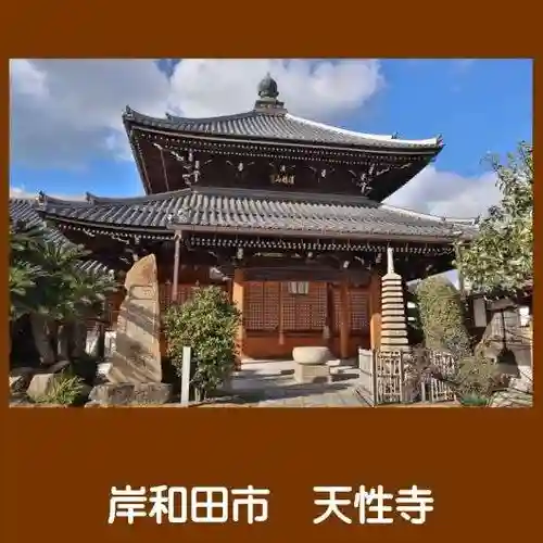 天性寺（蛸地蔵）(大阪府)