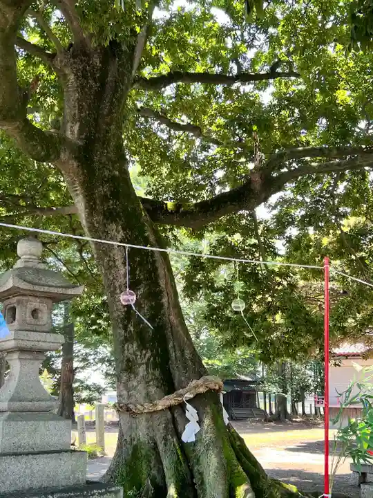 島田八坂神社のその他建物