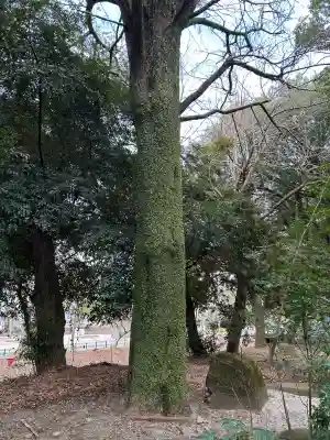 岐阜護國神社の{uncategorized: "未分類", other: "その他", undefined: "問題あり", building: "その他建物", grave: "お墓", sacred_gate: "鳥居", guardian: "狛犬", statue: "像", buddha: "仏像", history: "歴史", nature: "自然", garden: "庭園", animal: "動物", pagoda: "塔", temizu: "手水舎", mountain_gate: "山門・神門", sanctuary: "本殿・本堂", subordinate: "末社・摂社", art: "芸術", scenery: "景色", jizo: "地蔵", ema: "絵馬", goshuin: "御朱印", omikuji: "おみくじ", items: "授与品その他", amulet: "お守り", goshuincho: "御朱印帳", eats: "食事", festival: "お祭り", votive_dance: "神楽", shichigosan: "七五三参", wedding: "結婚式", experience: "体験その他", initially: "初詣", around: "周辺", anti_infection: "感染症対策"}