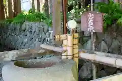 補陀洛山寺の手水