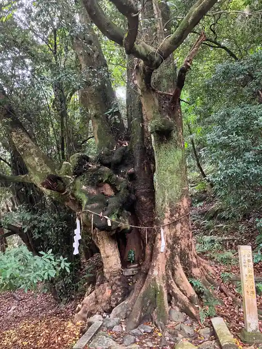 石清水八幡宮(京都府)