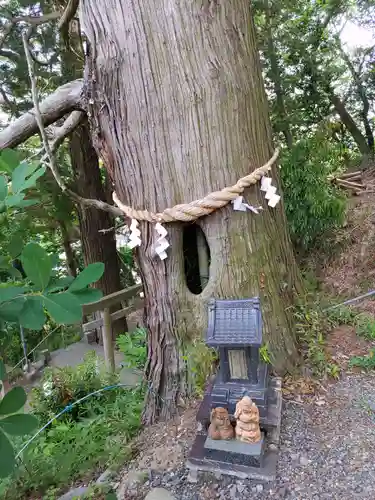 阿久津「田村神社」（郡山市阿久津町）旧社名：伊豆箱根三嶋三社(福島県)