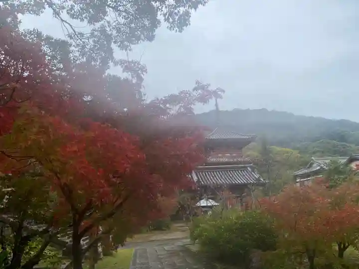 太山寺(兵庫県)