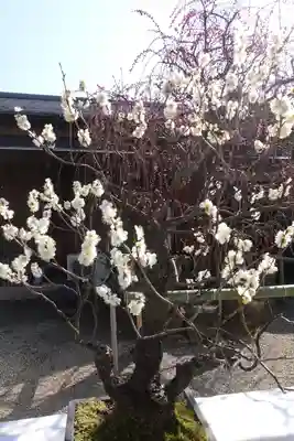菅原天満宮（菅原神社）(奈良県)