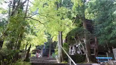 岩屋寺(愛媛県)