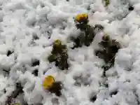 正観音堂(福島県)