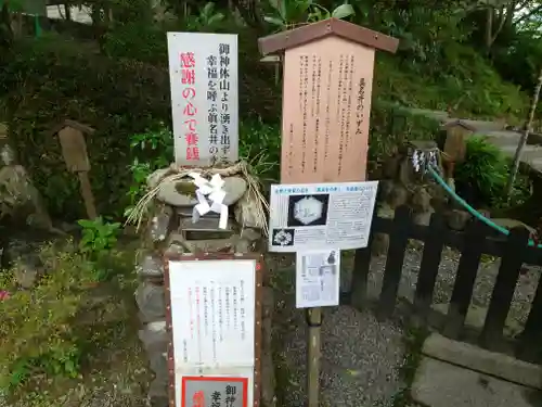 出雲大神宮の歴史