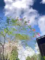 縣神社(千葉県)