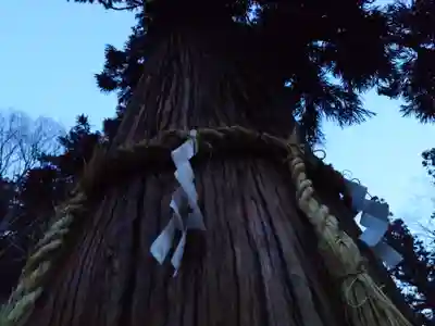 穂高神社本宮(長野県)