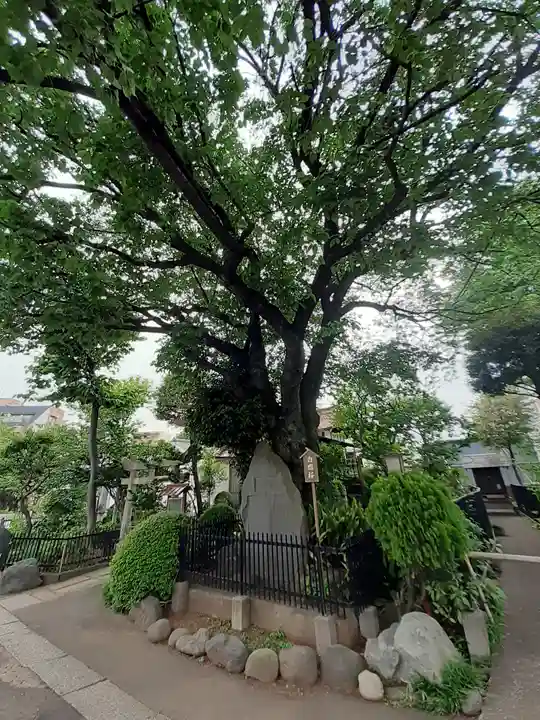 白山神社(東京都)
