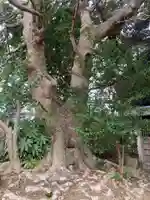 稲荷神社(千葉県)