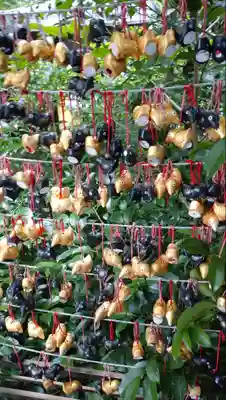 川越熊野神社のおみくじ