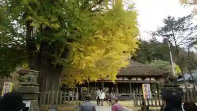新宮熊野神社(福島県)