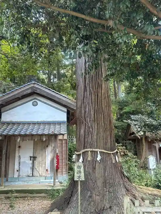 劒神社(福井県)