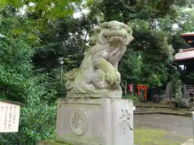 玉川神社の狛犬