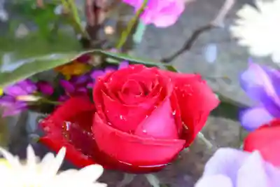 三津厳島神社の手水舎